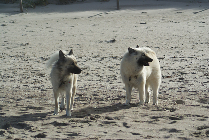 0072 bayleen und Fly.JPG - SONY DSC